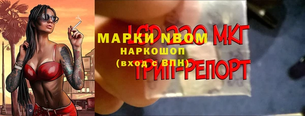 марки lsd Бородино